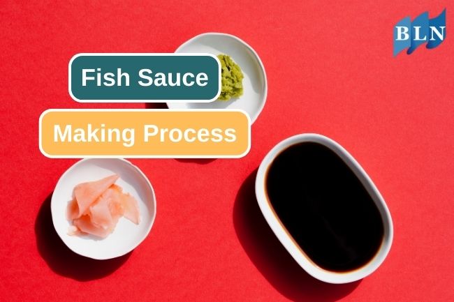 Take a Look at Fish Sauce Making Process